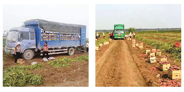 濟寧華騰農業(yè)科技有限公司