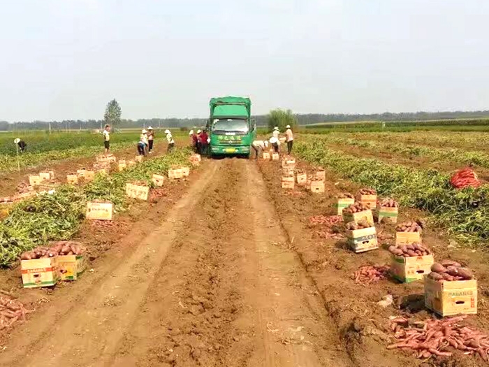 發(fā)貨現場(chǎng)