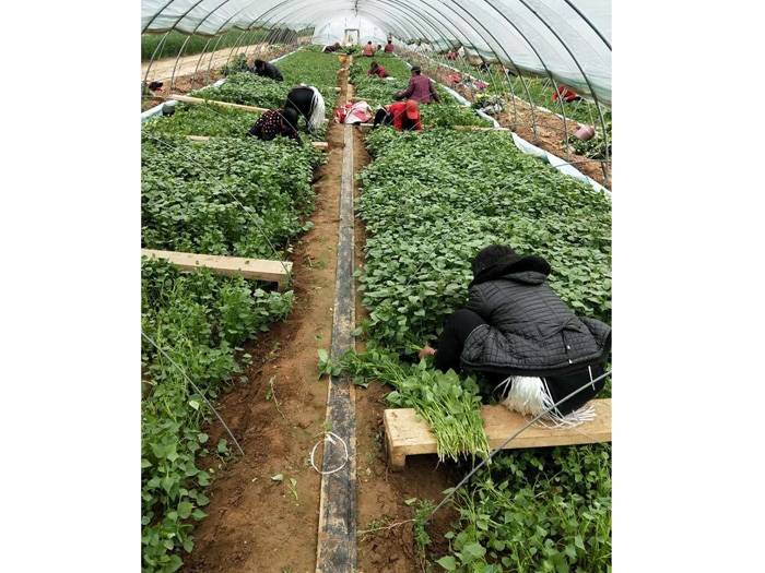 發(fā)貨現場(chǎng)